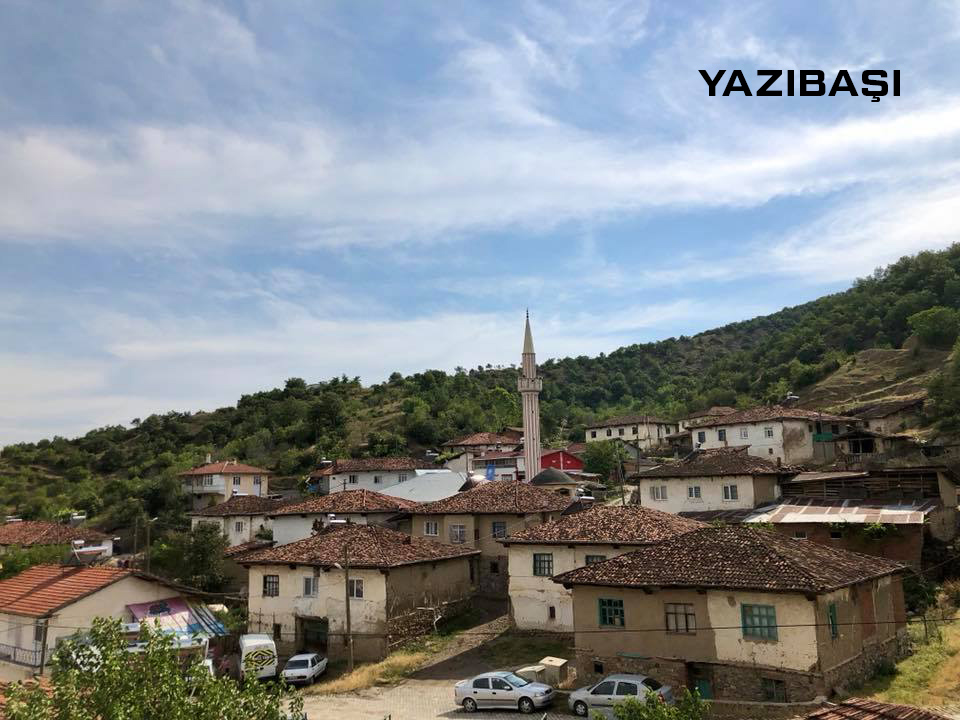 Medya