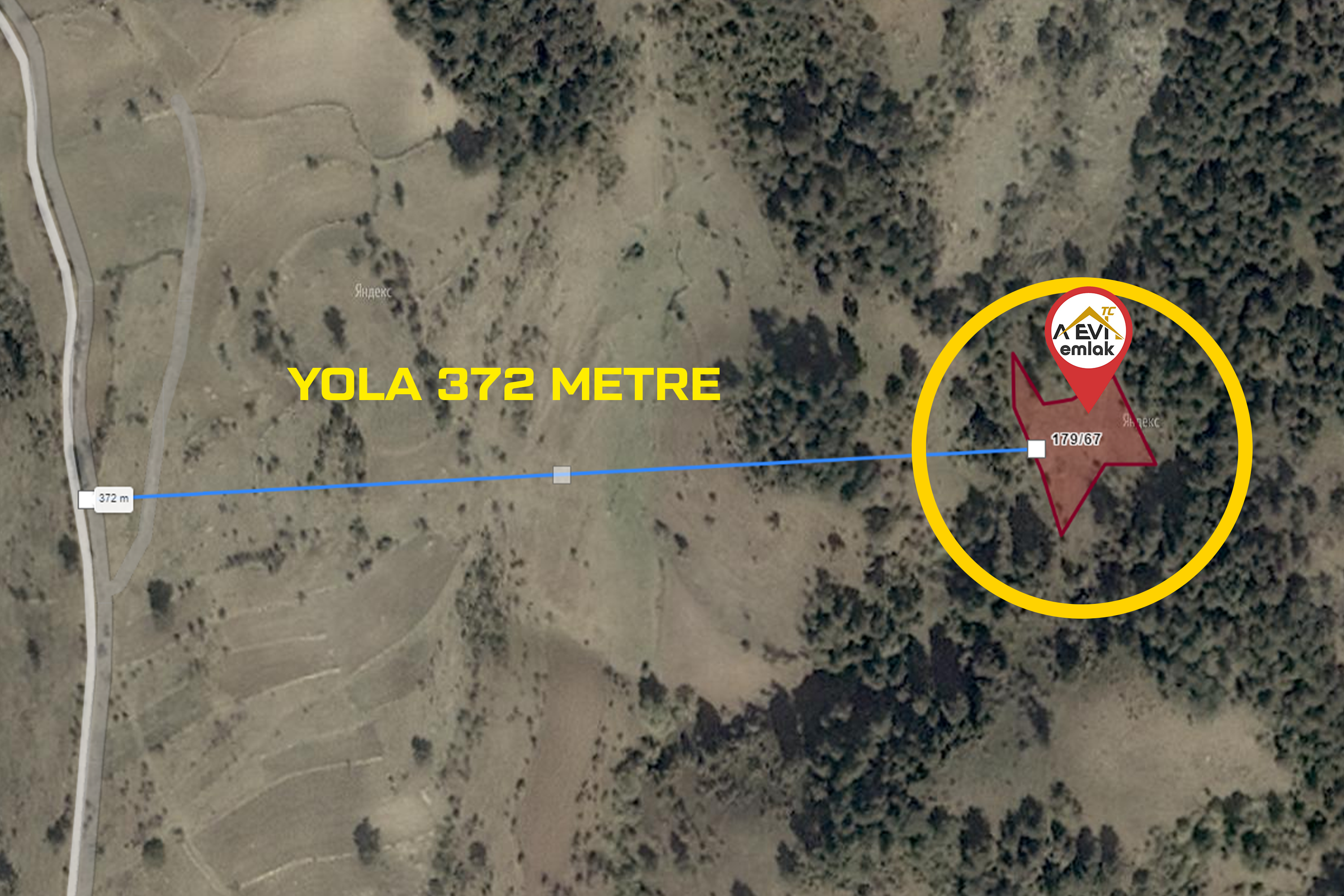 Medya