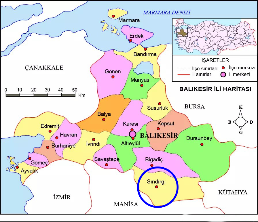 Medya