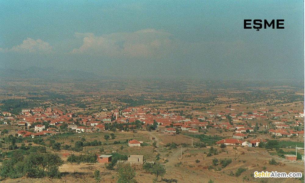 Medya