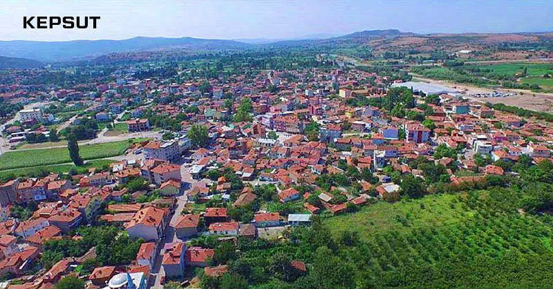 Medya