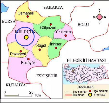 Medya