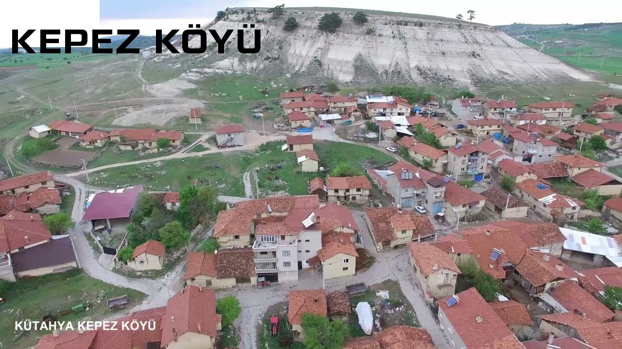 Medya