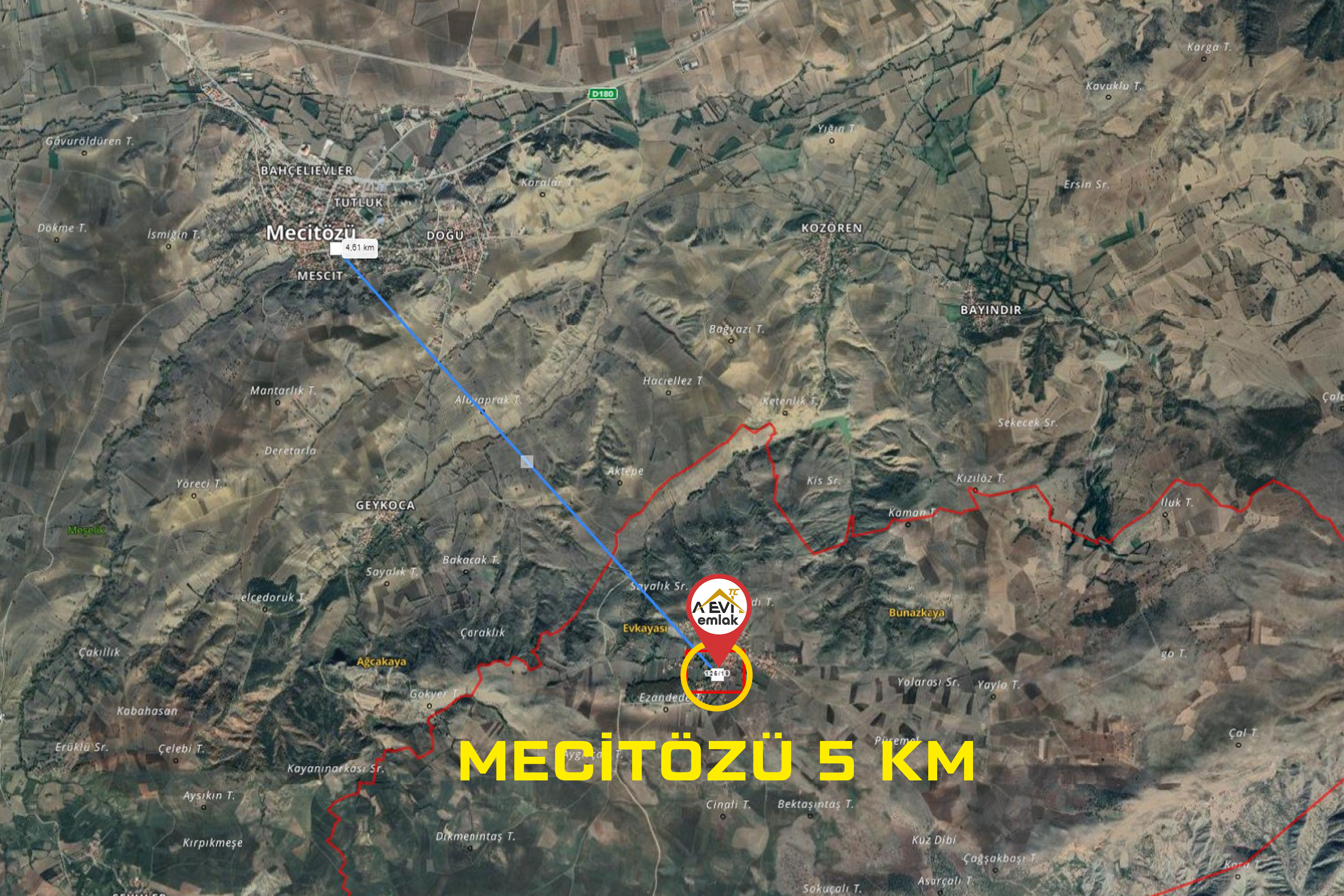 Medya