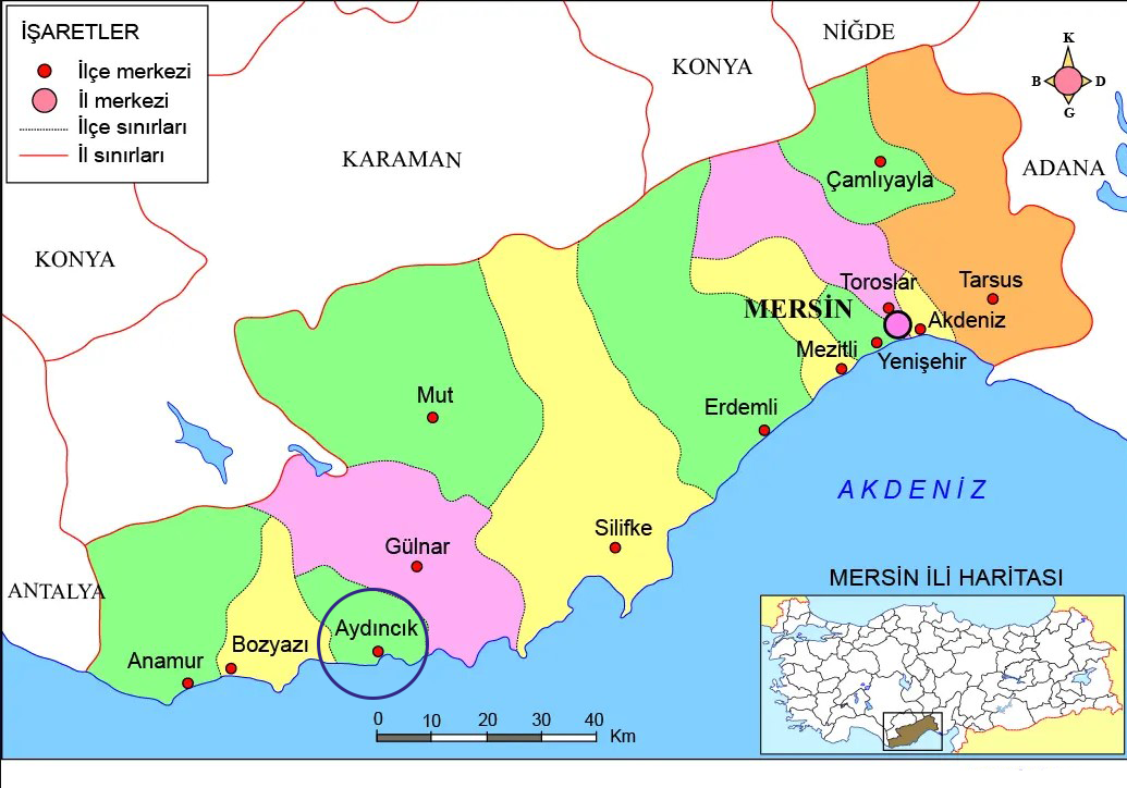 Medya