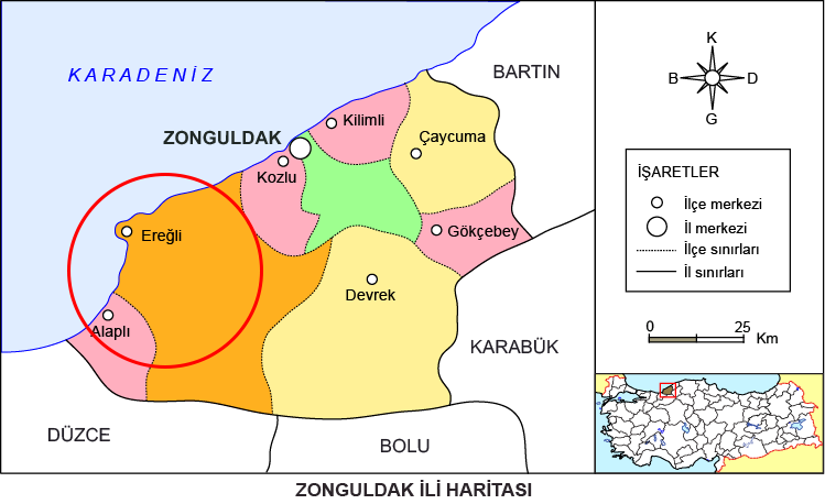 Medya