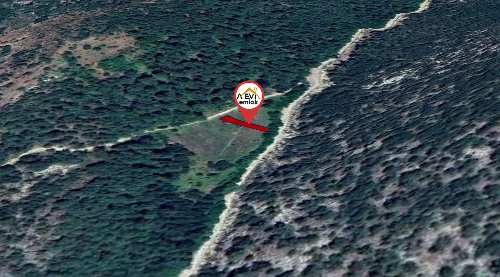 Medya