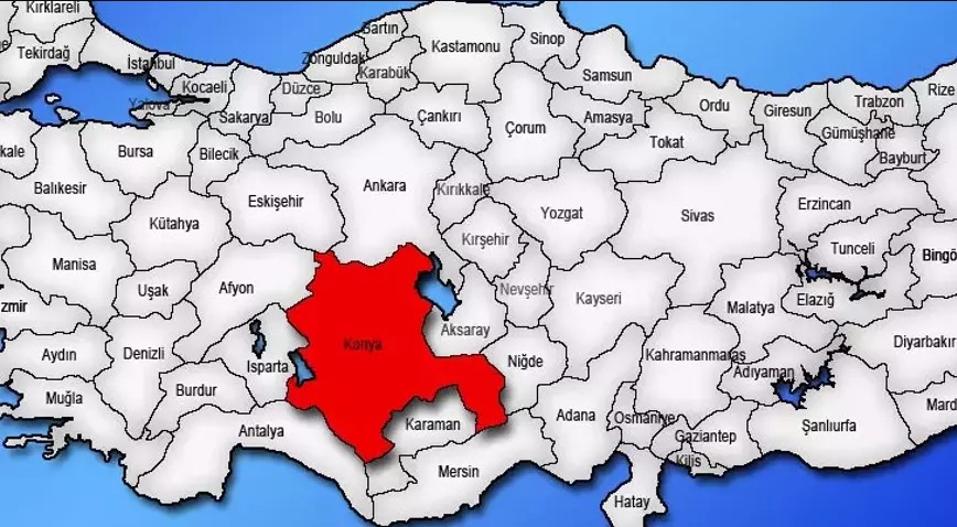 Medya