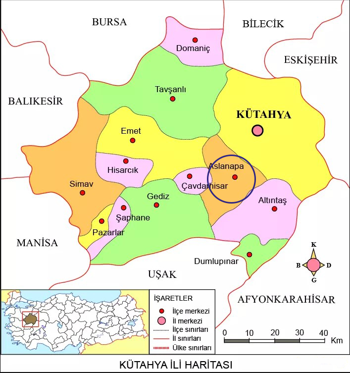 Medya