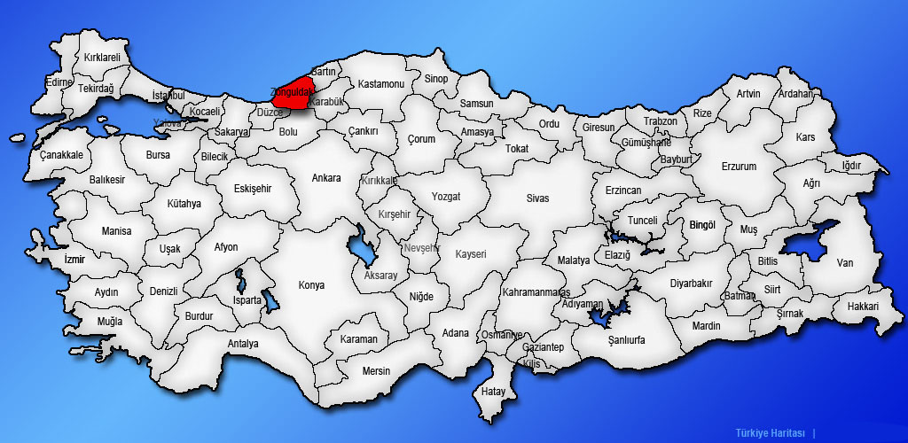 Medya
