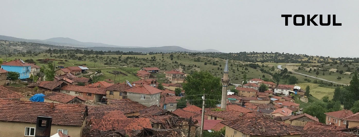 Medya