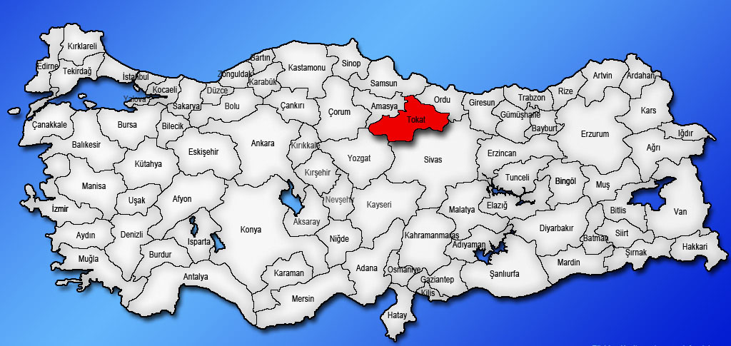 Medya