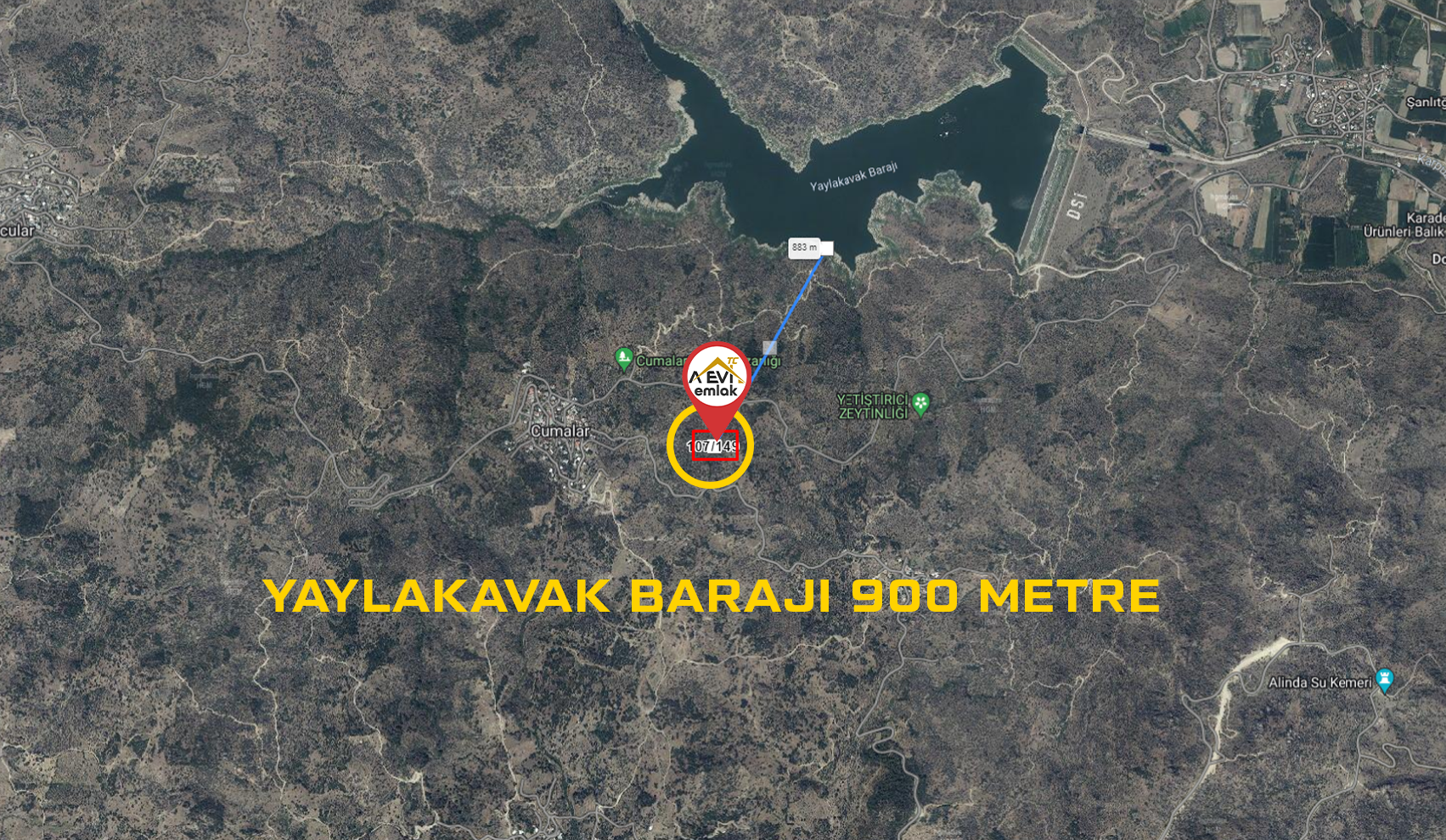 Medya