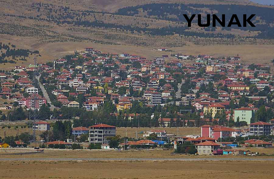 Medya