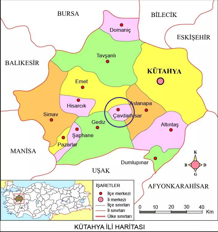 Medya