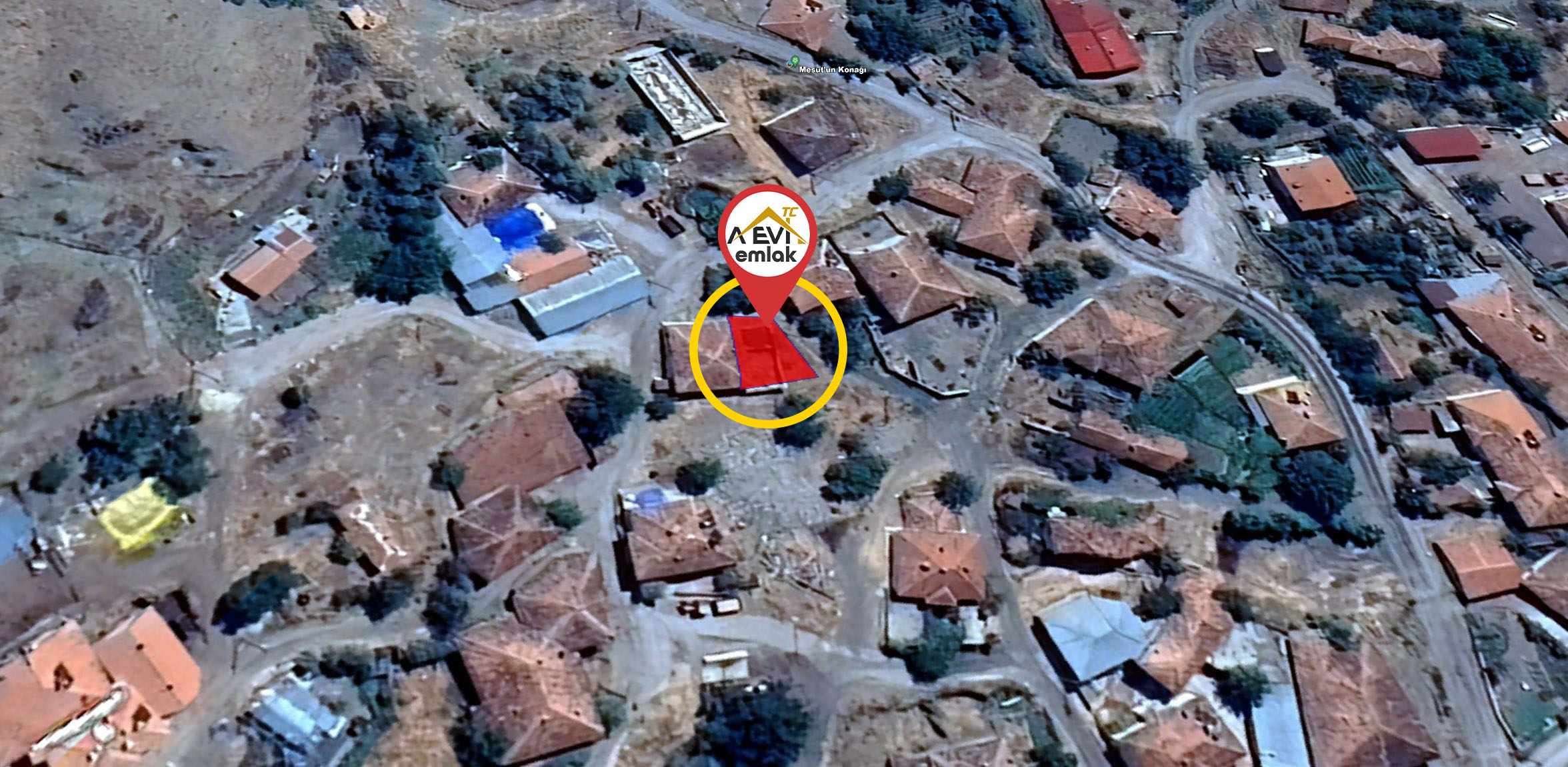 Medya