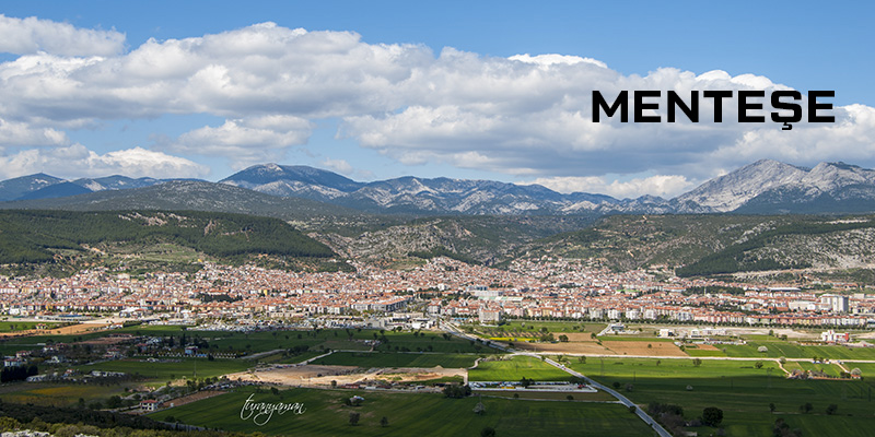 Medya