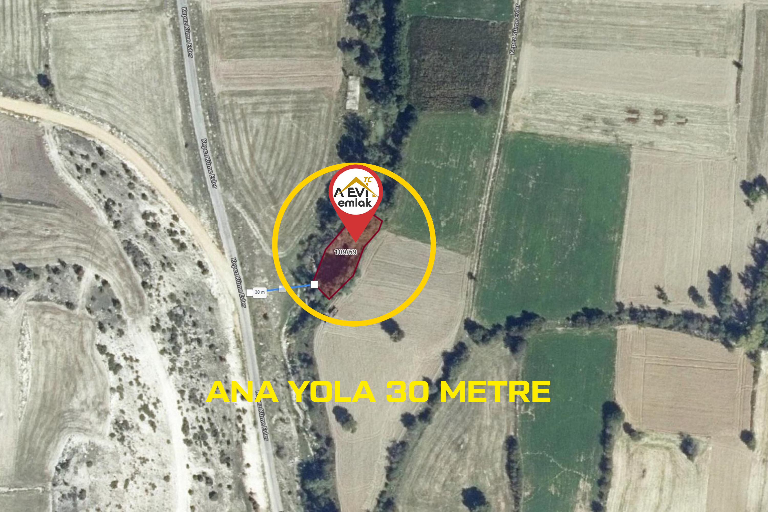Medya
