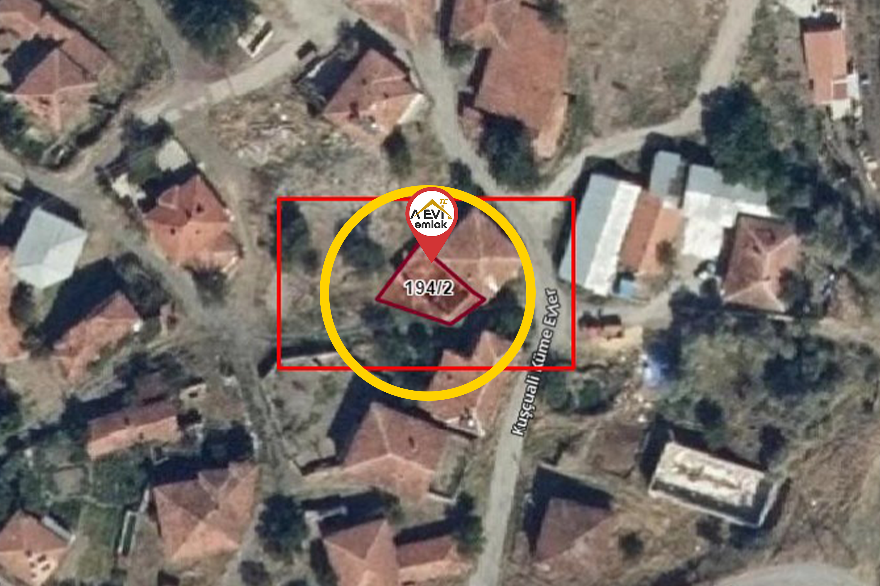 Medya
