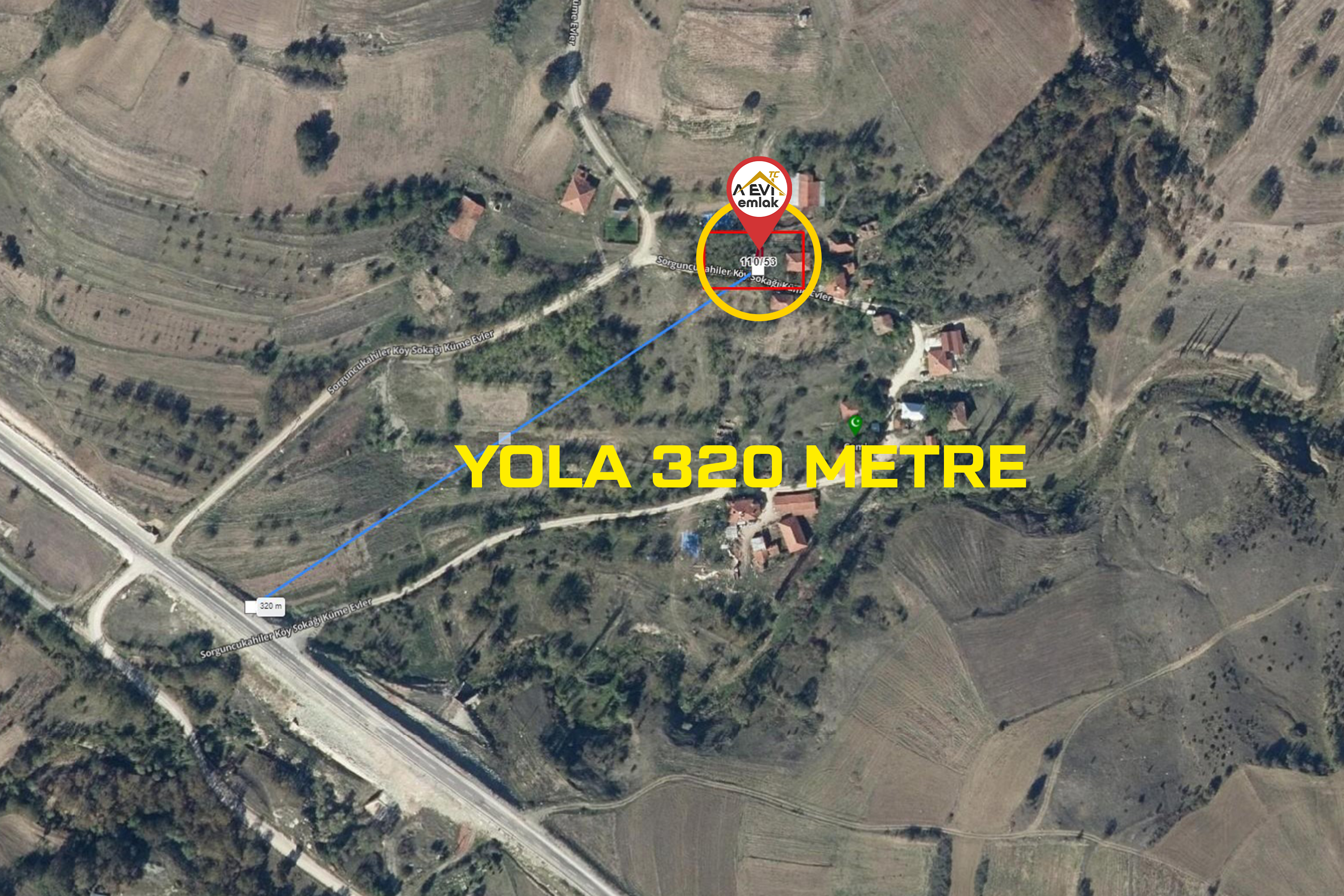Medya