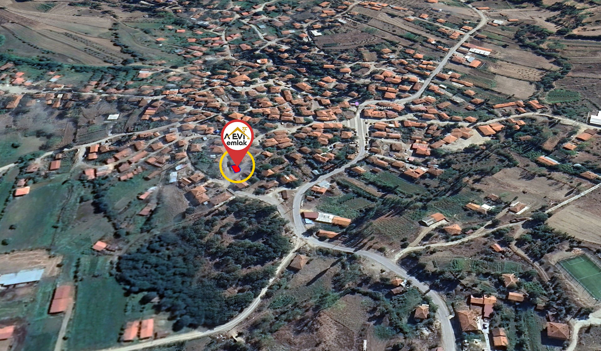 Medya