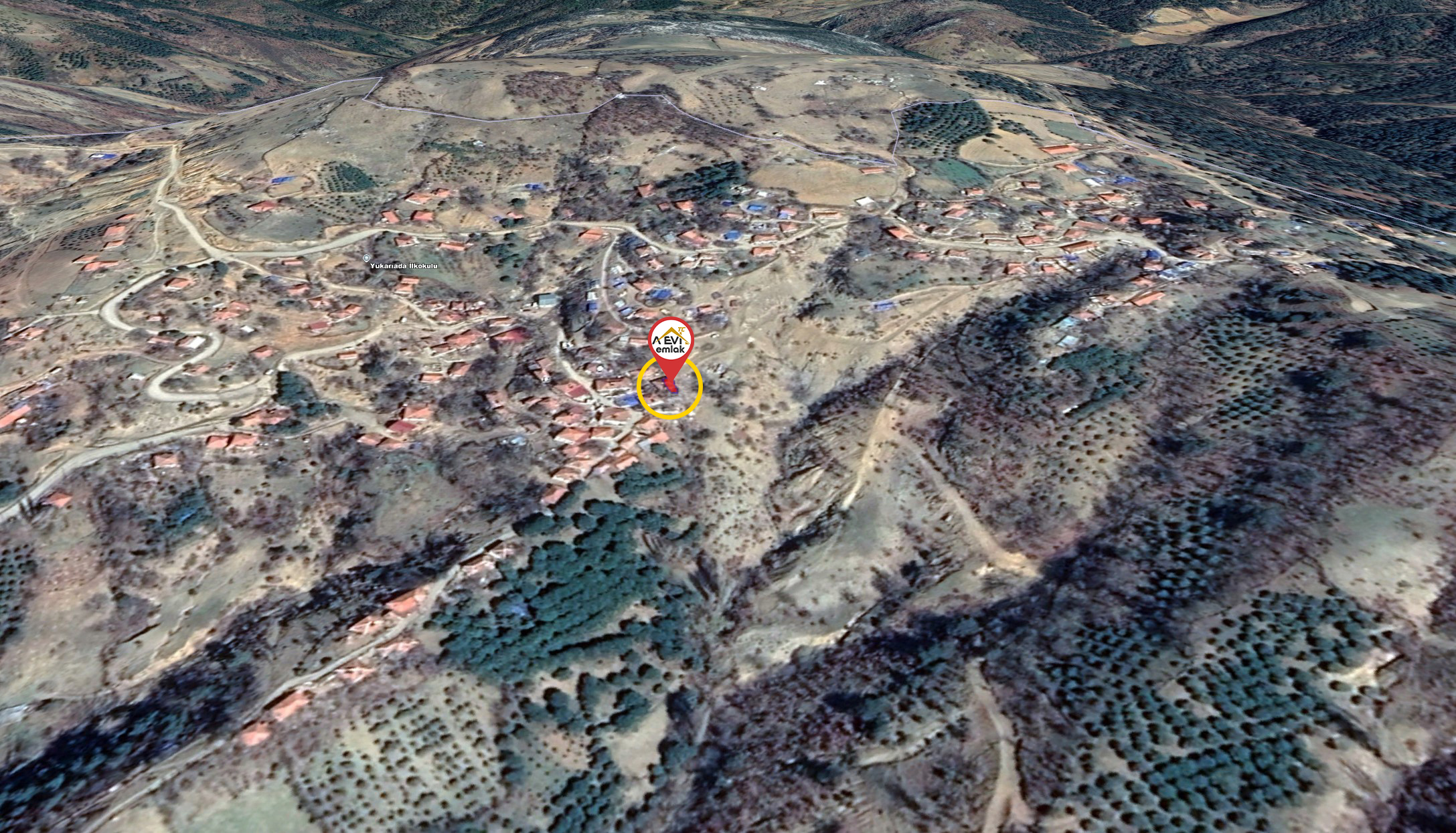 Medya
