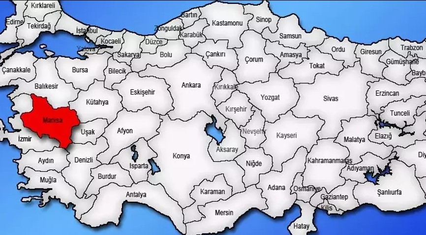 Medya