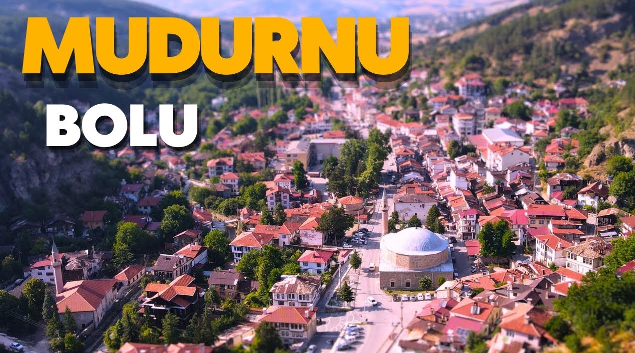 Medya