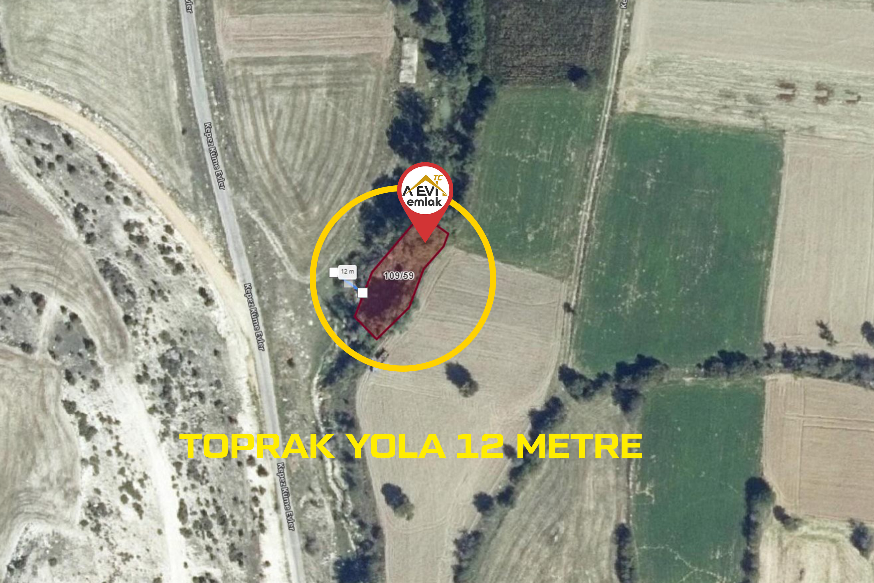 Medya