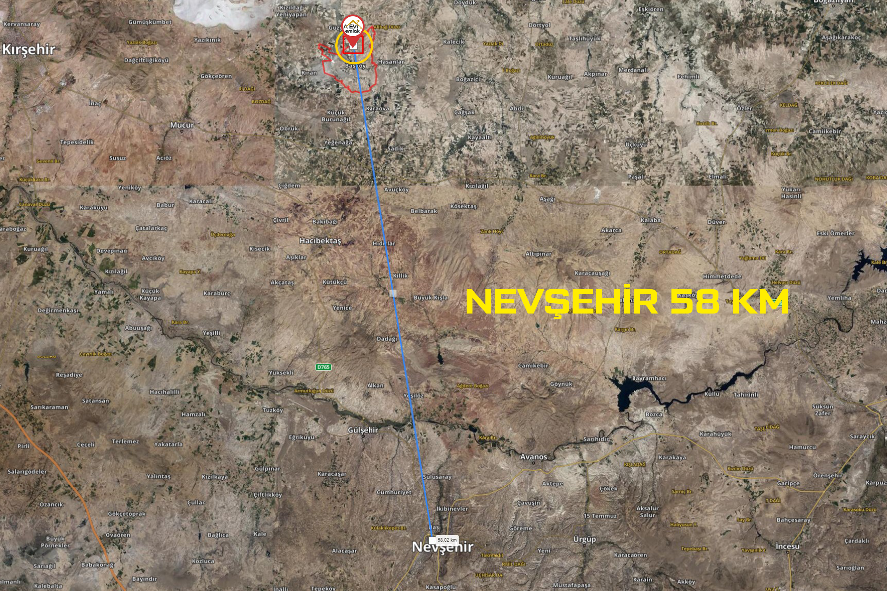 Medya