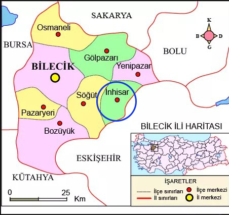 Medya