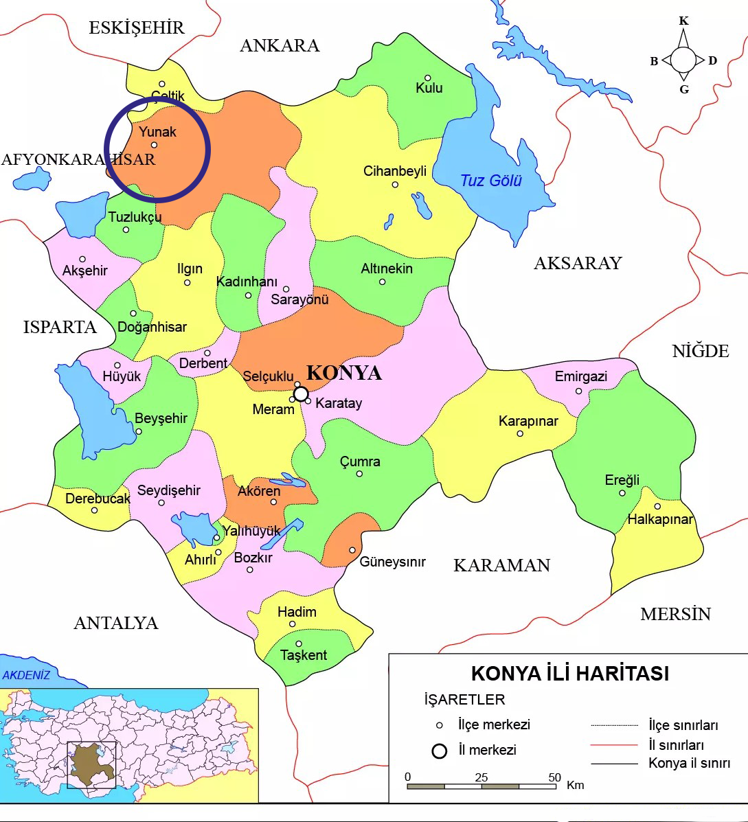 Medya