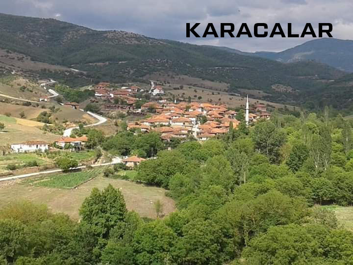 Medya