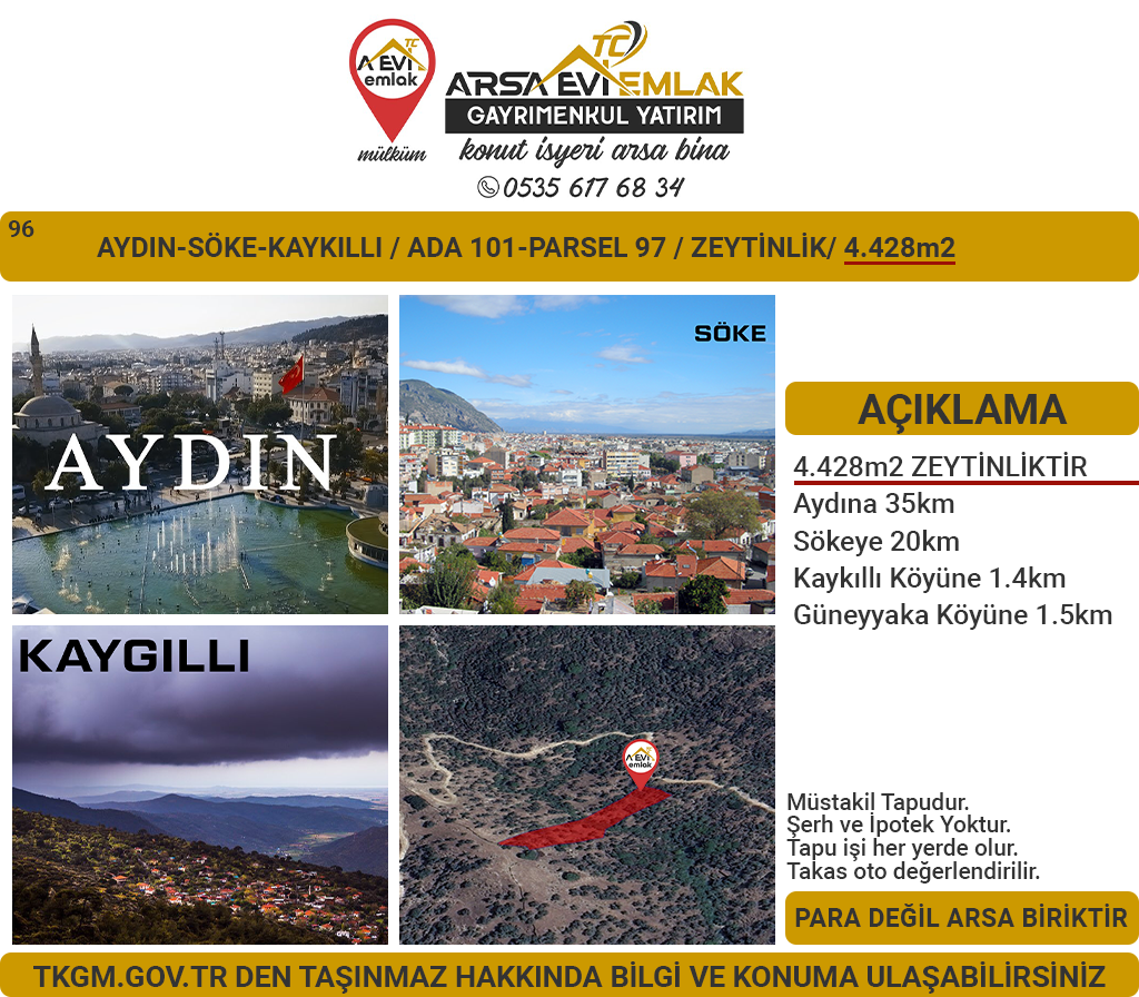 Aydın Söke Kaykıllı Satılık 4428m2 Zeytinlik