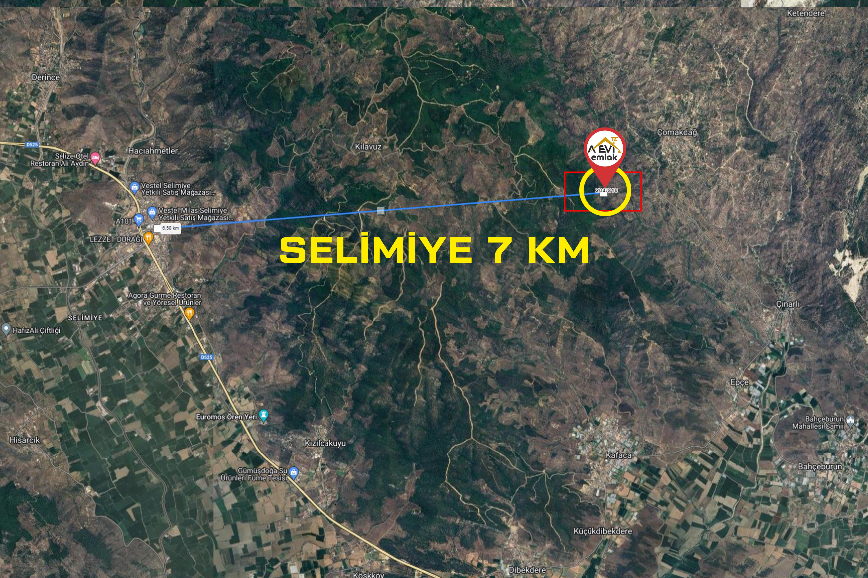 Medya