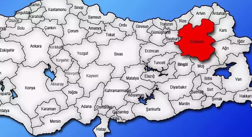 Medya