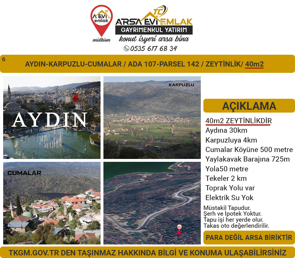 Aydın Karpuzlu Cumalar Satılık 40m2 Zeytinlik