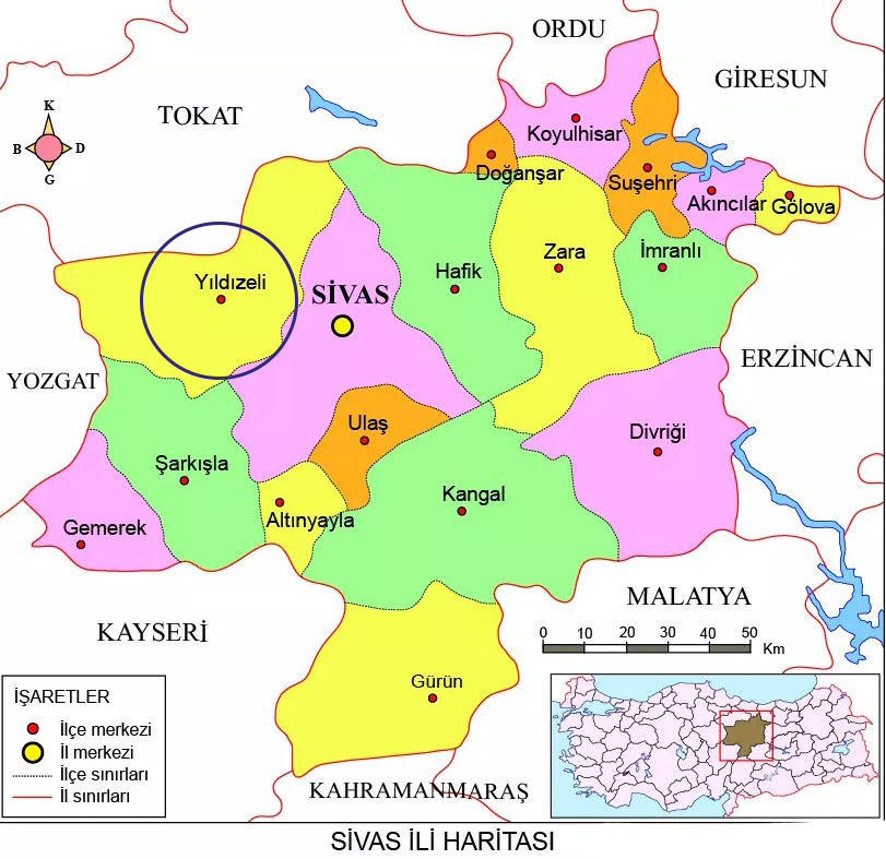 Medya