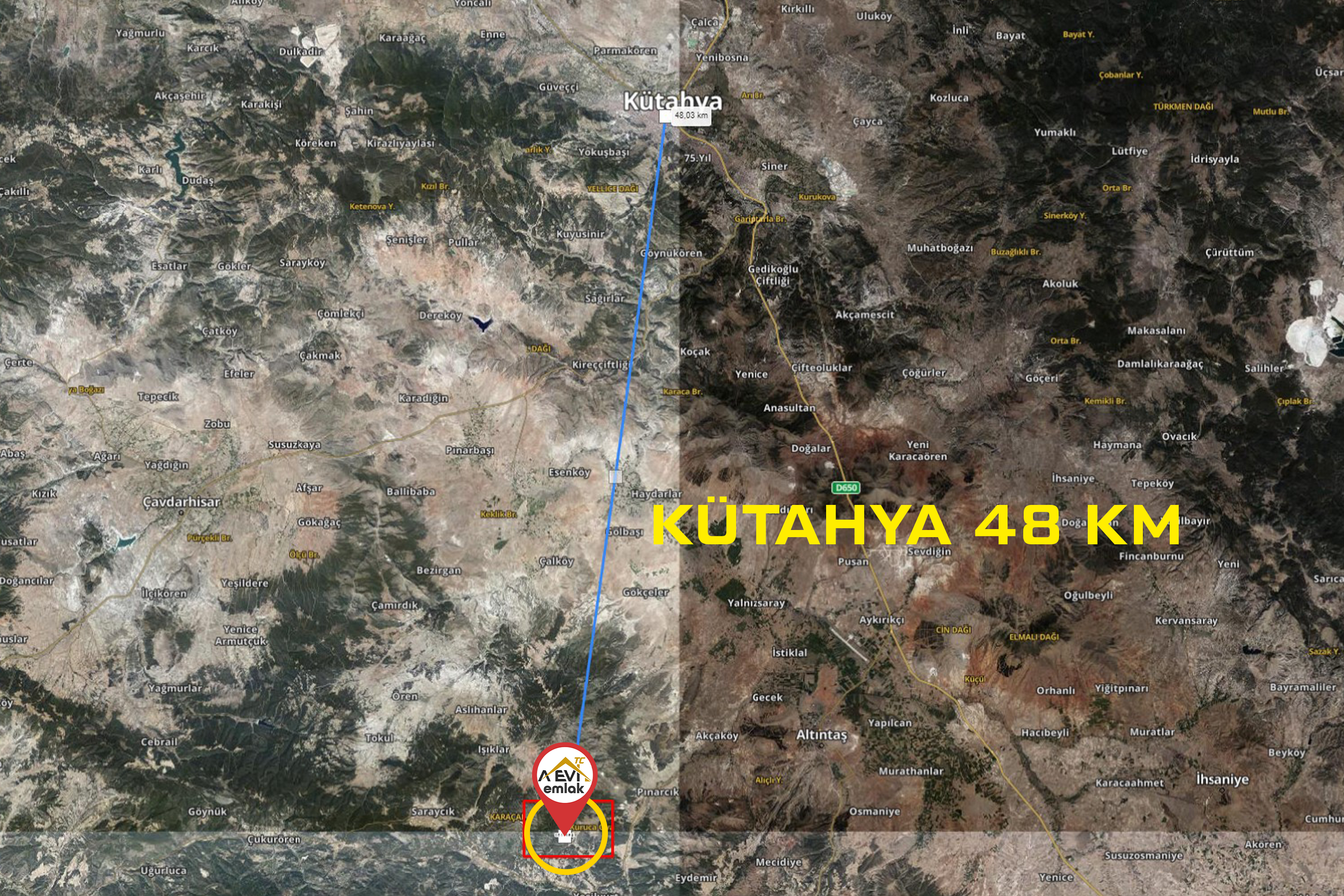 Medya
