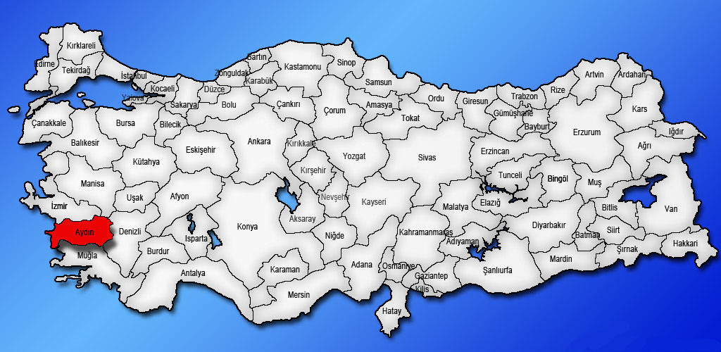 Medya
