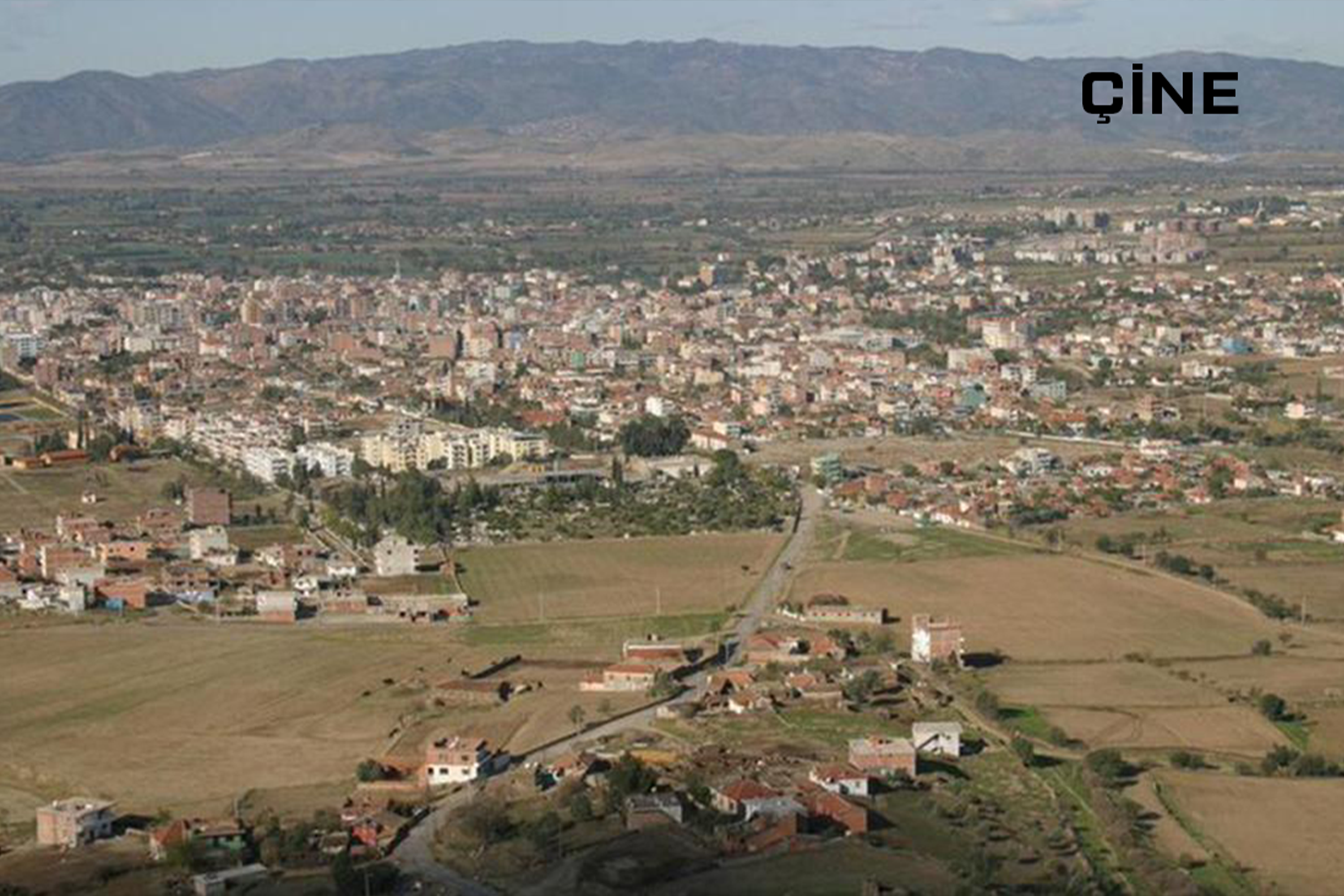 Medya