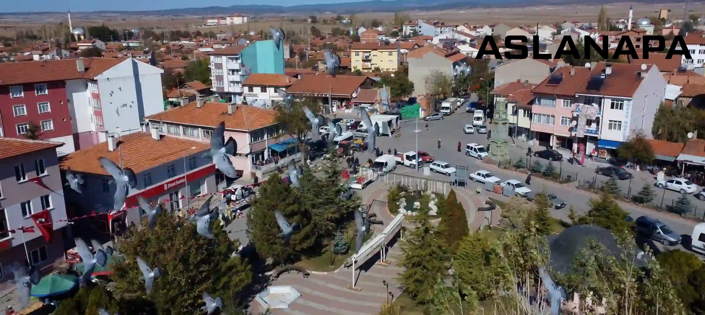Medya