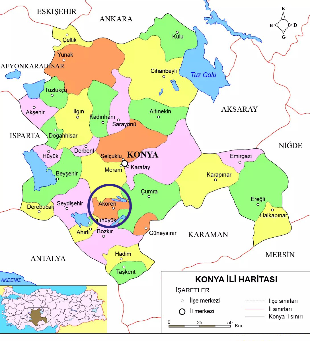 Medya