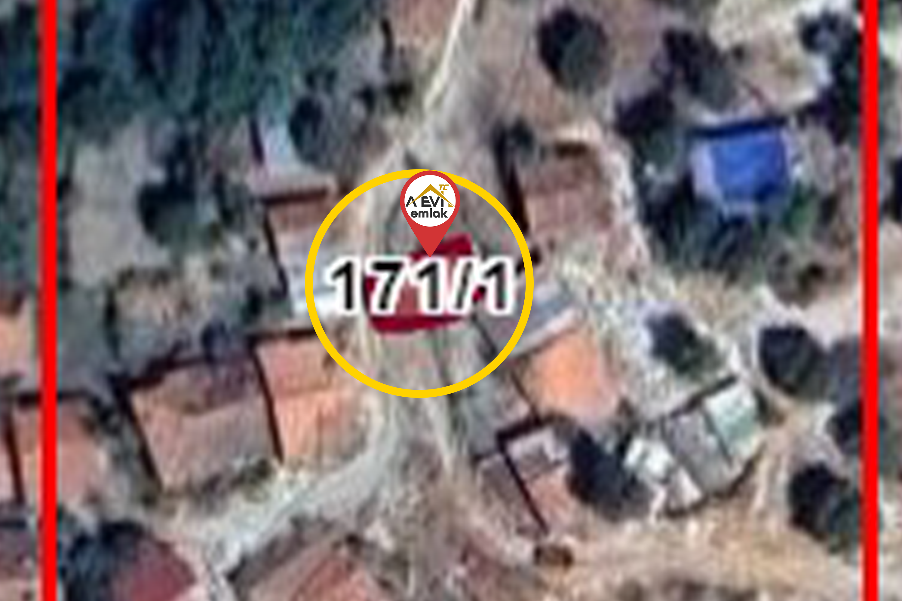 Medya