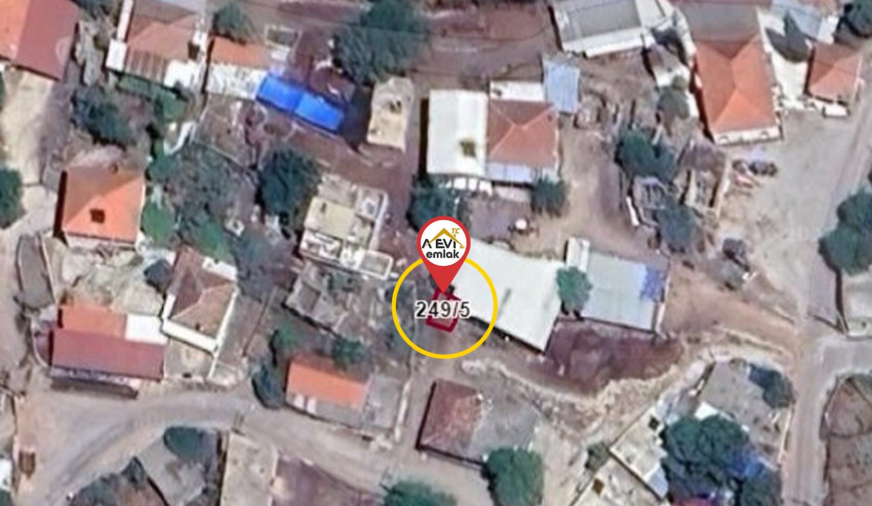 Medya
