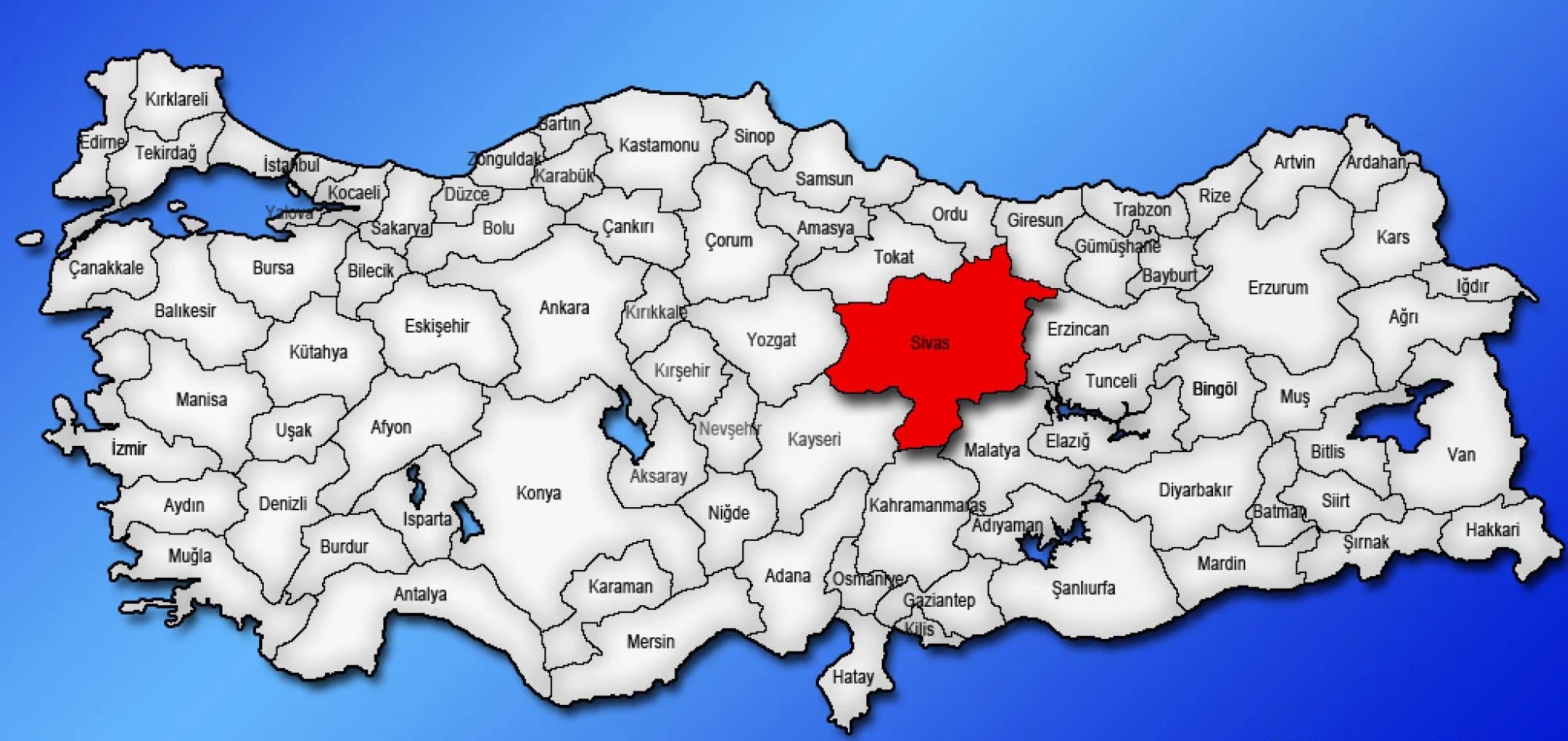 Medya