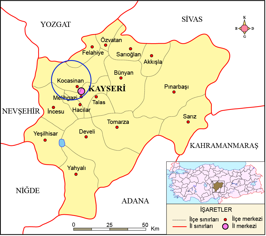 Medya