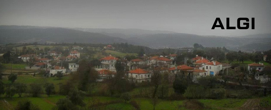 Medya