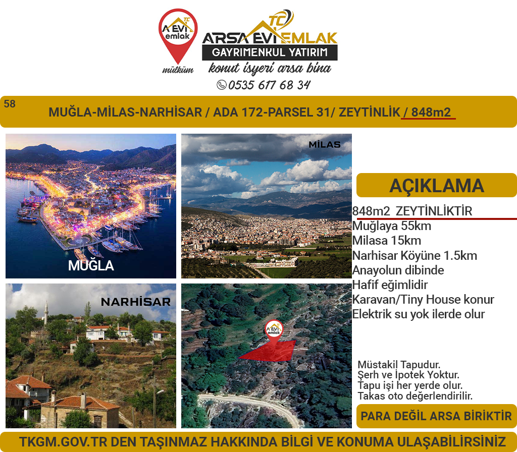 Muğla-Milas-Narhisar-Satılık-850m2-Zeytinlik