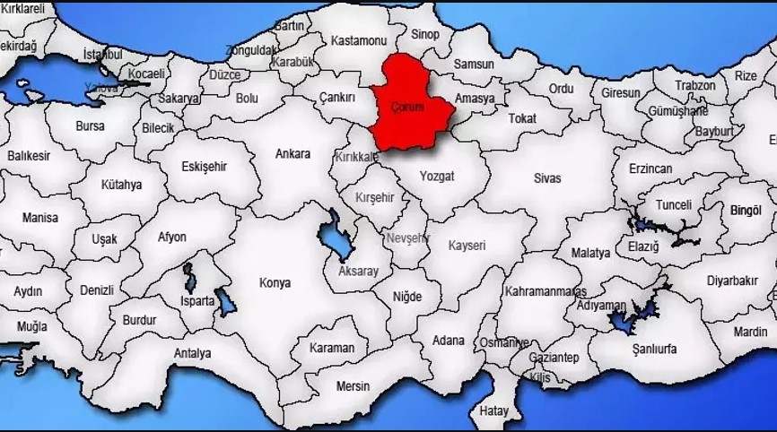 Medya